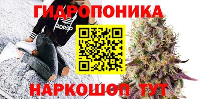 сатива Бузулук