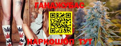 сатива Бузулук