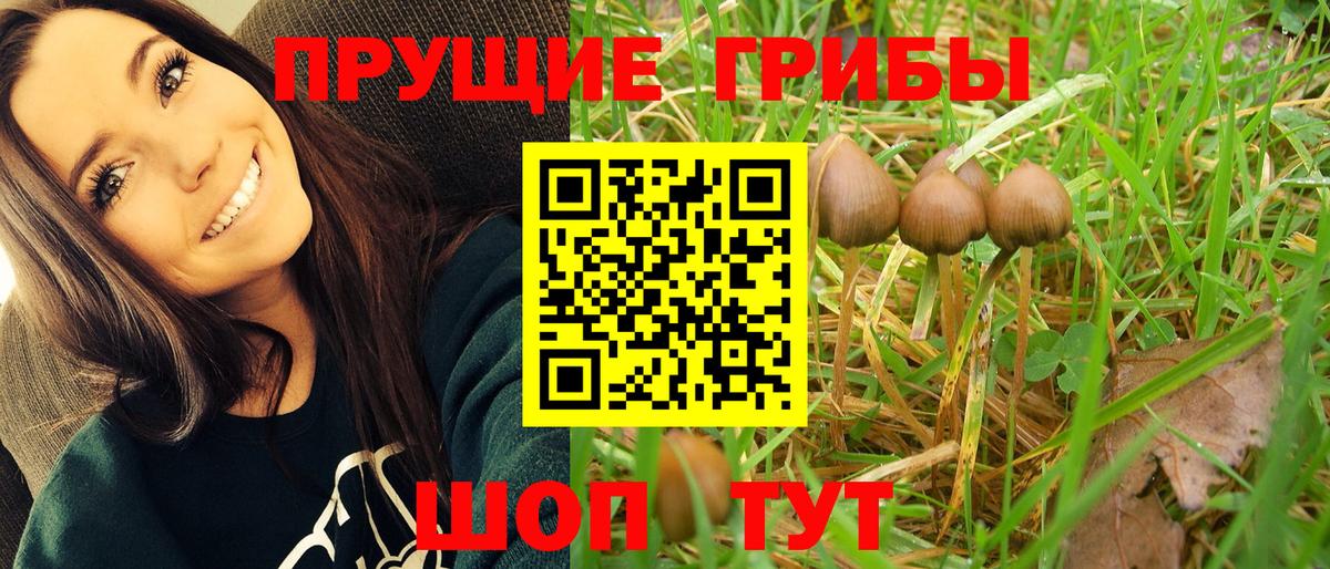 Галлюциногенные грибы ЛСД Сальск