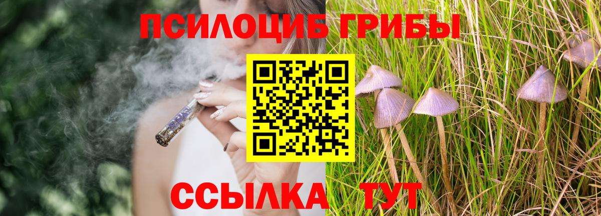 Сальск  Галлюциногенные грибы ЛСД  Вход с VPN 