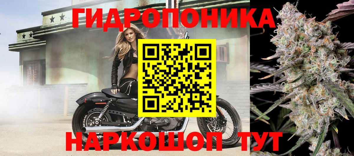 МАРИХУАНА семена  Конопля индика  Вход с VPN  Шишки марихуана сатива  Сальск 